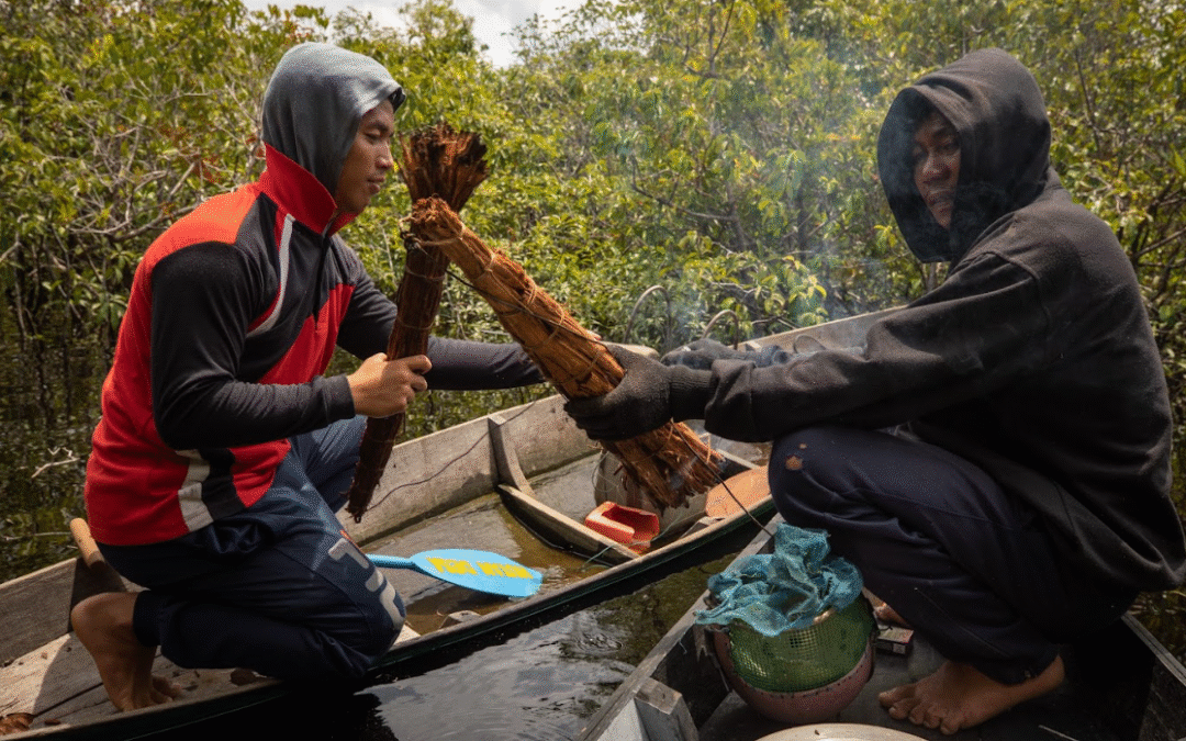 Laporan Panen Madu Hutan Musim Ini: Kualitas Premium!